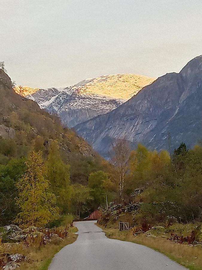 An Authentic Experience In Picturesque Eidfjord Villa Exterior photo